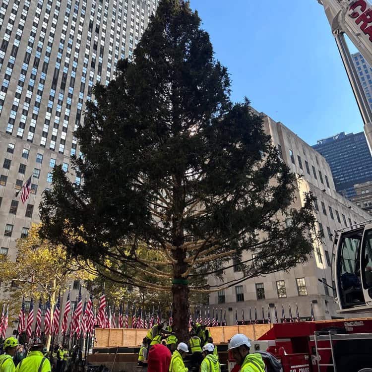 imagen-cuerpo imagen-cuerpo