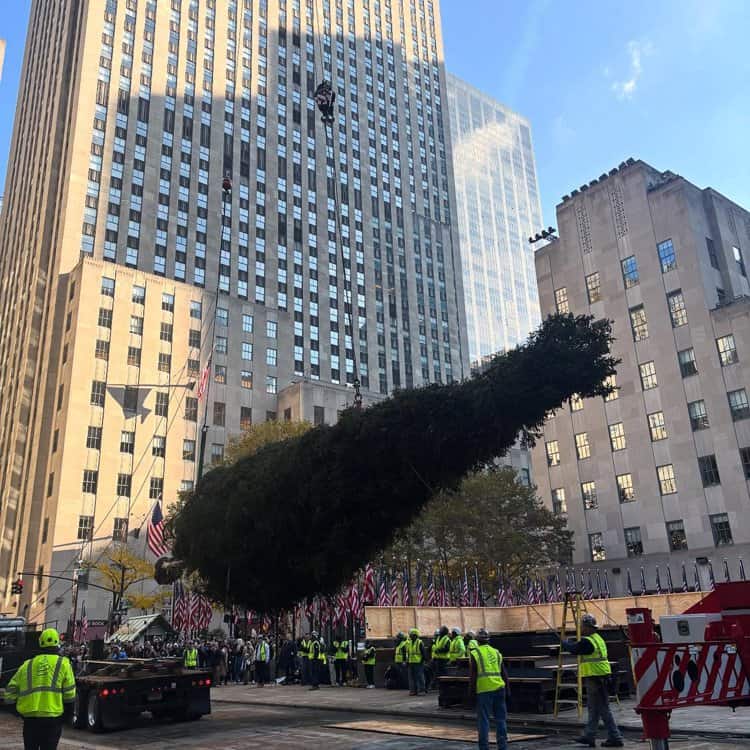 imagen-cuerpo imagen-cuerpo