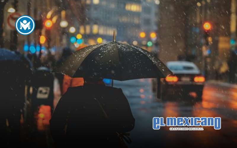 Cuando la ciudad se inunda, los insectos toman el control: c&oacute;mo la lluvia y los baches impulsan las invasiones urbanas