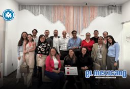 Cuando la ciudad se inunda, los insectos toman el control: c&oacute;mo la lluvia y los baches impulsan las invasiones urbanas