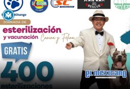 Baja 1000 una gran proyección para Ensenada: Claudia Agatón