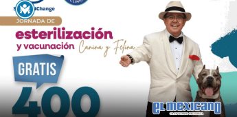 Ensenada realizará última jornada de esterilización gratuita del año para perros y gatos Ensenada realizará última jornada de esterilización gratuita del año para perros y gatos