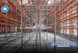 Regresa el Festival de las Aves de la Bahía de San Quintín con Carrera Atlética de la Migración