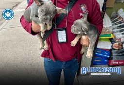 Lluvias generan encharcamientos en Rosarito; autoridades llaman a la precaución