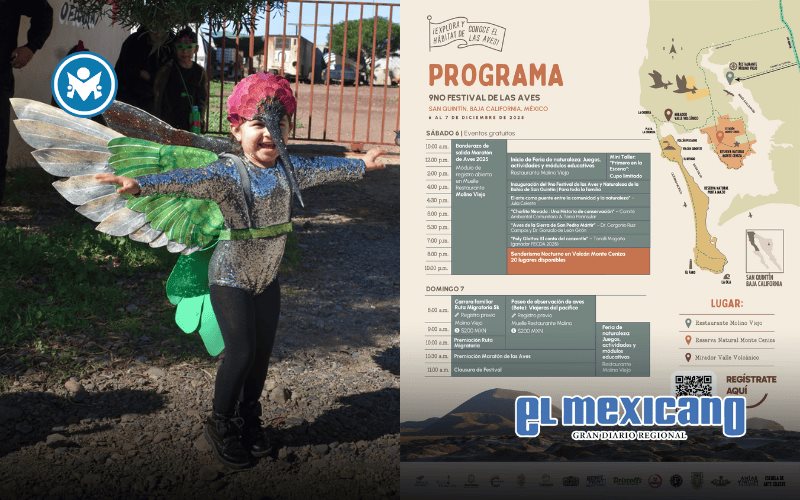 Regresa el Festival de las Aves de la Bahía de San Quintín con Carrera Atlética de la Migración