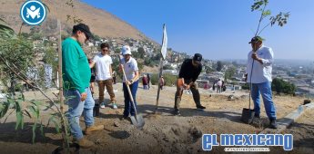 Genera Nación Verde acciones responsables para proteger el arbolado urbano en Tijuana Genera Nación Verde acciones responsables para proteger el arbolado urbano en Tijuana