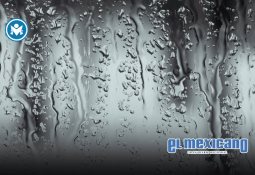 Cierran Mundo Divertido y empleados expresan inconformidad