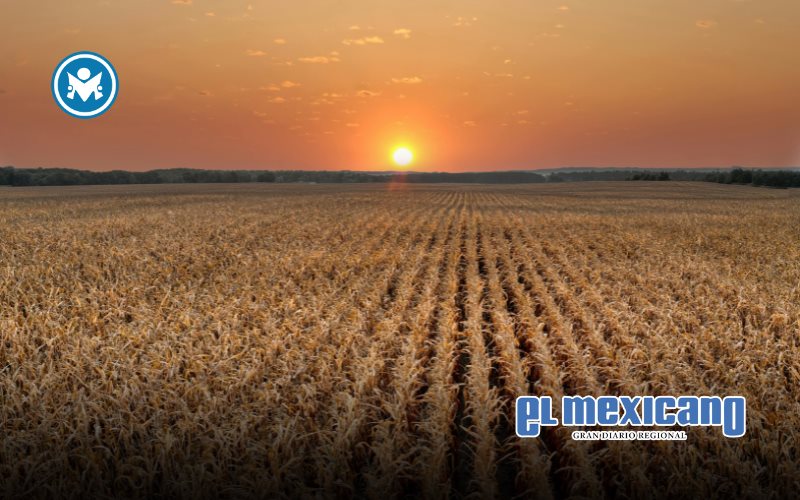 Paro nacional del FNRCM: agricultores alzan la voz el 24N