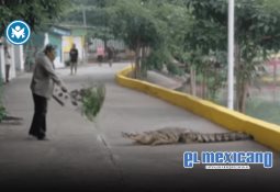 Senado aprueba en comisiones ley contra extorsión con penas de hasta 42 años