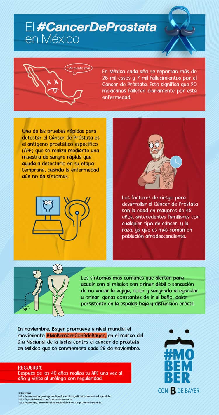 imagen-cuerpo imagen-cuerpo