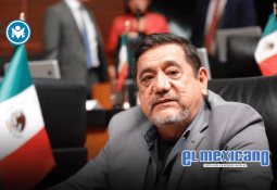 Euforia por la justa mundialista, pero sentimientos encontrados con el futbol nacional, revela estudio de Truth Finder Consulgency