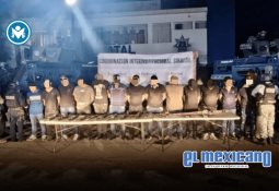 Euforia por la justa mundialista, pero sentimientos encontrados con el futbol nacional, revela estudio de Truth Finder Consulgency