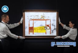 Liniero rescata a oso de poste eléctrico en Arizona Liniero rescata a oso de poste eléctrico en Arizona