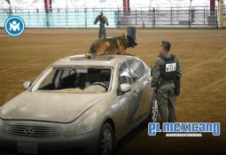 Evalúan retirar concesión de la Feria a El Trompo por irregularidades Evalúan retirar concesión de la Feria a El Trompo por irregularidades