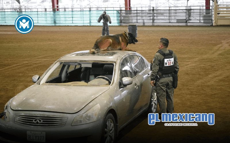 Unidad Canina de Tijuana destaca en competencia internacional K-9