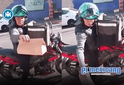 Liniero rescata a oso de poste eléctrico en Arizona Liniero rescata a oso de poste eléctrico en Arizona