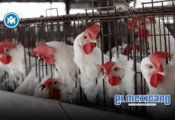 Tiendas en San Ysidro se preparan para el Black Friday Tiendas en San Ysidro se preparan para el Black Friday