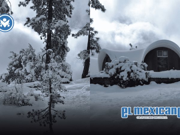 Paisaje helado en San Pedro Mártir tras tormenta invernal