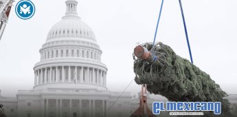 Llega al Capitolio el tradicional árbol navideño de su "People´s Tree" Llega al Capitolio el tradicional árbol navideño de su "People´s Tree"