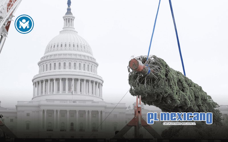 Llega al Capitolio el tradicional árbol navideño de su "People´s Tree" Llega al Capitolio el tradicional árbol navideño de su "People´s Tree"