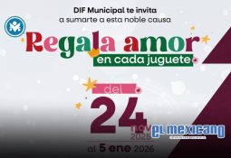 Revisan 100 bares y centros de entretenimiento en operativo nocturno