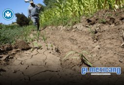 Diputados aprueban ley contra la extorsión con penas de hasta 42 años