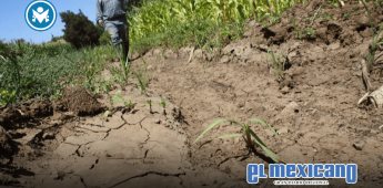 El campo mexicano en bancarrota El campo mexicano en bancarrota