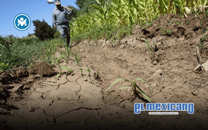 El campo mexicano en bancarrota