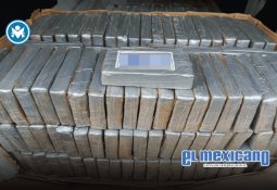 Consejeros de Morena denuncian "traición" de la alcaldesa de Tecámac por supuesta alianza con PRI y PAN