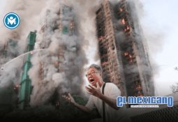 Fallece Gramma, la tortuga gigante de Galápagos más longeva del Zoológico de San Diego Fallece Gramma, la tortuga gigante de Galápagos más longeva del Zoológico de San Diego