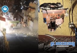 Hombre descubre un oso viviendo en el sótano de su casa en Altadena