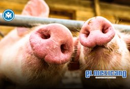 Detienen a mujer en Nueva Jersey por recibir manutención de tres hombres distintos durante seis años Detienen a mujer en Nueva Jersey por recibir manutención de tres hombres distintos durante seis años