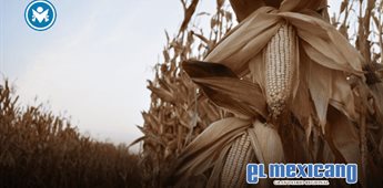 Productores exigen precios justos: sin campo no hay país Productores exigen precios justos: sin campo no hay país