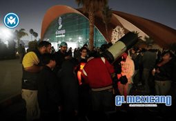 Investigadores unen fuerzas para salvar a los lobos marinos del Alto Golfo de California
