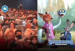 Mapache es encontrado en estado de ebriedad en licorería de Virginia Mapache es encontrado en estado de ebriedad en licorería de Virginia