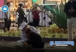 Mapache es encontrado en estado de ebriedad en licorería de Virginia Mapache es encontrado en estado de ebriedad en licorería de Virginia