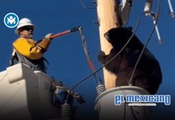 Stranger Things despedirá su última temporada en cines antes de llegar a Netflix Stranger Things despedirá su última temporada en cines antes de llegar a Netflix