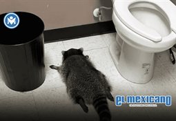 Netflix adquiere Warner Bros. y agrega el Universo DC a su catálogo Netflix adquiere Warner Bros. y agrega el Universo DC a su catálogo