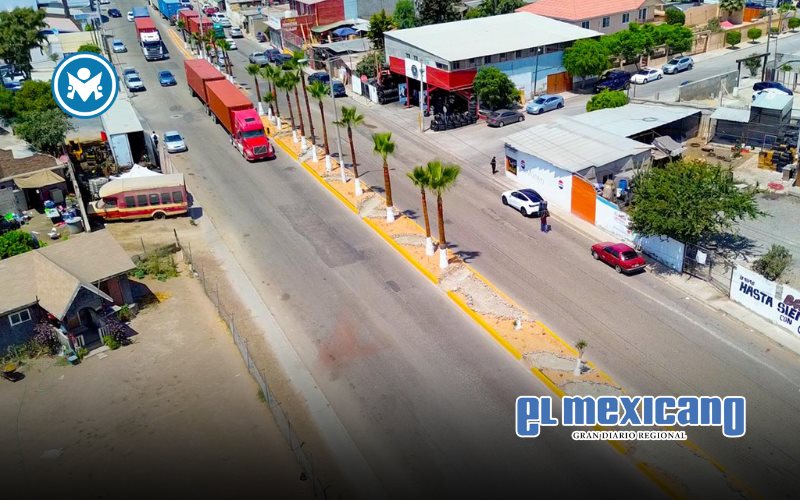 Transforma Nación Verde el espacio público con modelos de infraestructura verde sostenible Transforma Nación Verde el espacio público con modelos de infraestructura verde sostenible