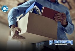 SEGOB reporta baja en violencia; Rosa Icela Rodríguez destaca que atención a jóvenes es prioridad SEGOB reporta baja en violencia; Rosa Icela Rodríguez destaca que atención a jóvenes es prioridad