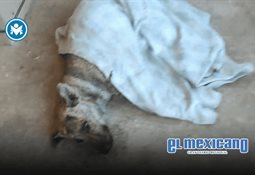 Dialogando en Unidad y caminando el territorio con nuestra gente: Ruíz Uribe Dialogando en Unidad y caminando el territorio con nuestra gente: Ruíz Uribe