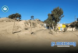 Detienen a hombre por disparar a los perros de su vecino con pistola de postas