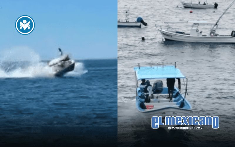 Turista en Puerto Vallarta muere tras choque de lancha con ballena Turista en Puerto Vallarta muere tras choque de lancha con ballena