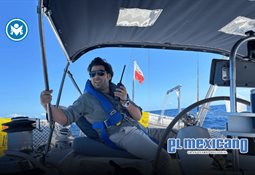 Sheinbaum presume baja de 37% en homicidios con su estrategia de seguridad Sheinbaum presume baja de 37% en homicidios con su estrategia de seguridad