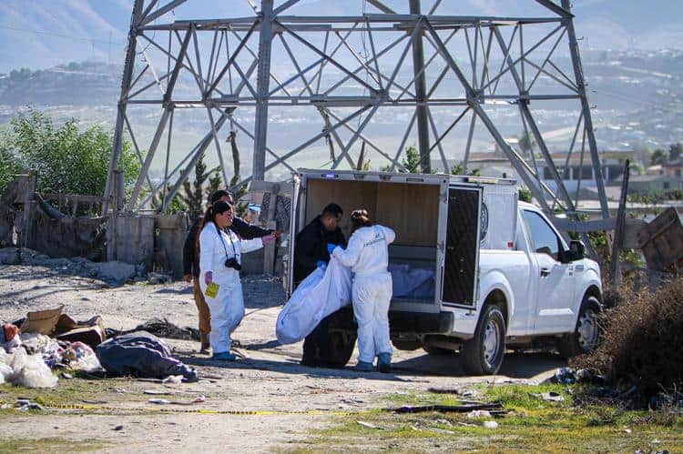 imagen-cuerpo imagen-cuerpo