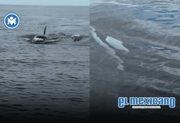 Ideas de regalos de Navidad: Muebles para cada tipo de personalidad Ideas de regalos de Navidad: Muebles para cada tipo de personalidad