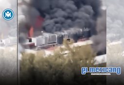 Orcas sorprenden a pescadores de Manzanillo alrededor de su embarcación Orcas sorprenden a pescadores de Manzanillo alrededor de su embarcación