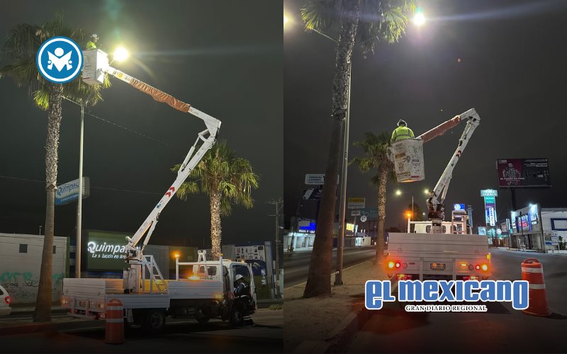 Reparan 100 luminarias en una semana para reforzar la seguridad Reparan 100 luminarias en una semana para reforzar la seguridad