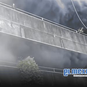 Mujer se niega a evacuar sin sus mascotas en incendio