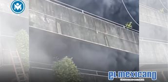 Mujer se niega a evacuar sin sus mascotas en incendio Mujer se niega a evacuar sin sus mascotas en incendio